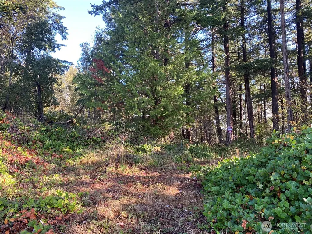 417 Arbutus Place Bellingham WA 98225