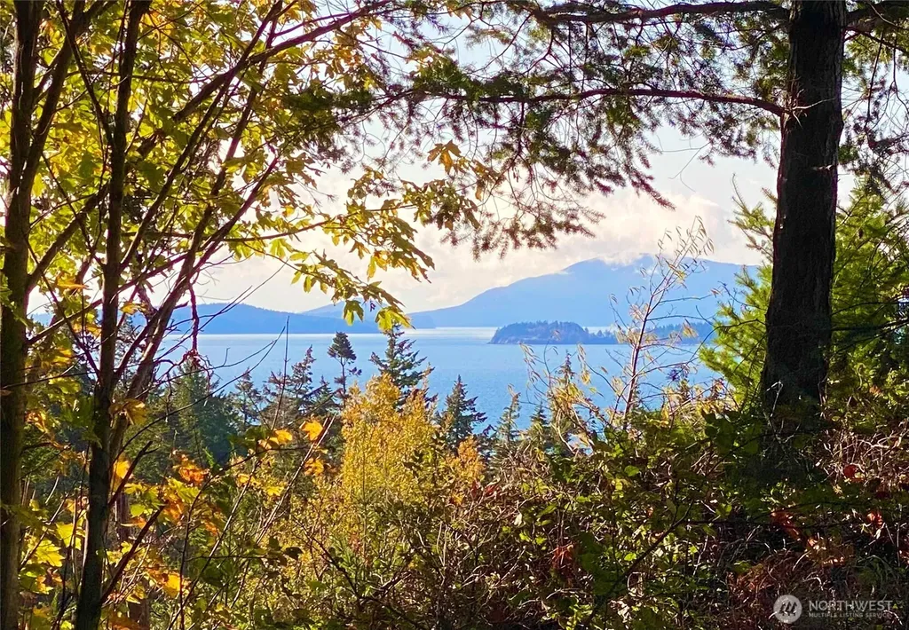 417 Arbutus Place Bellingham WA 98225