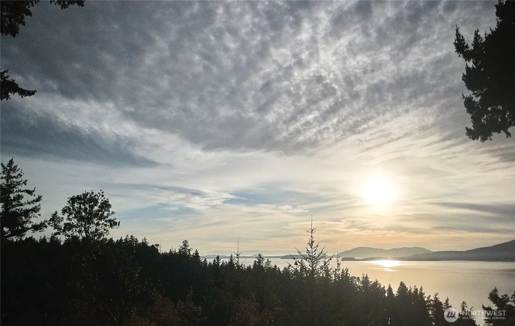 417 Arbutus Place Bellingham WA 98225