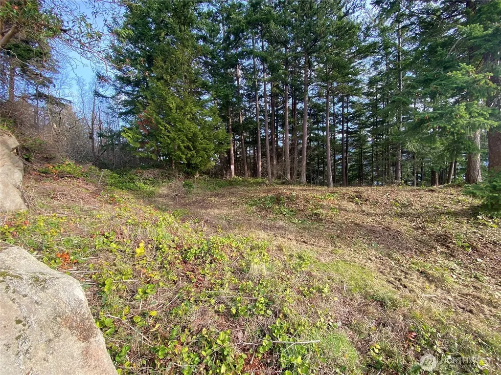 417 Arbutus Place Bellingham WA 98225