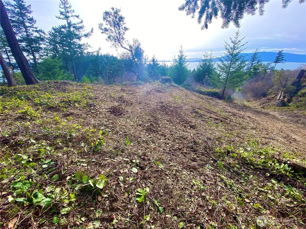417 Arbutus Place Bellingham WA 98225