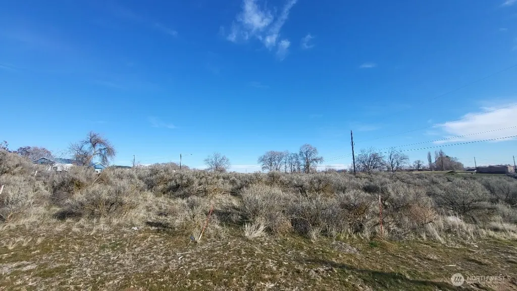 0 080767000 Soap Lake WA 98851
