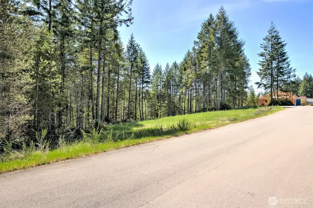 161 E Lexington Place Shelton WA 98584