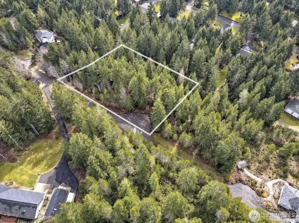161 E Lexington Place Shelton WA 98584