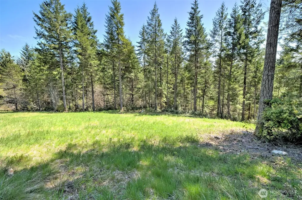 161 E Lexington Place Shelton WA 98584
