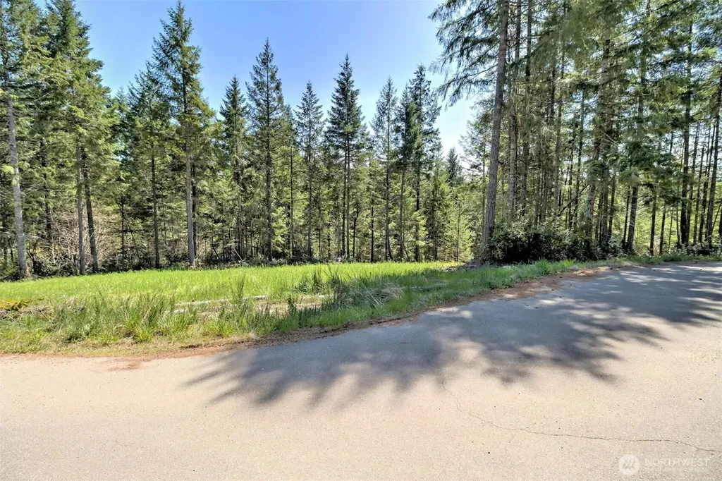 161 E Lexington Place Shelton WA 98584