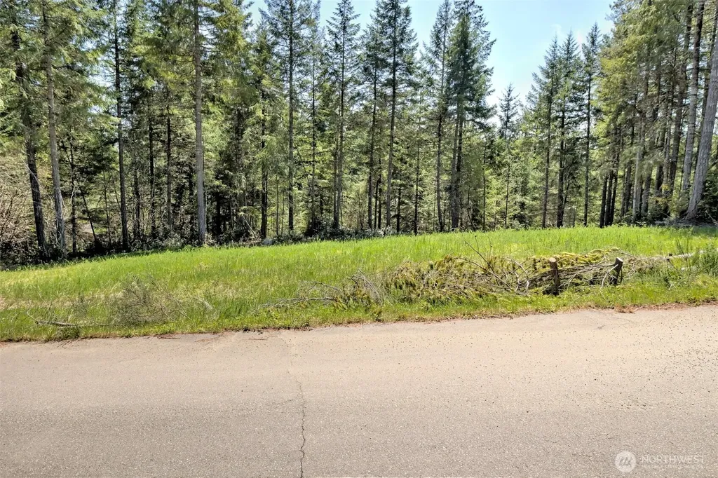 161 E Lexington Place Shelton WA 98584