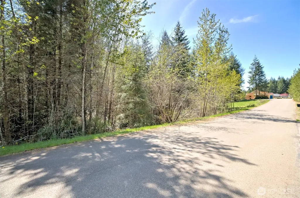 161 E Lexington Place Shelton WA 98584