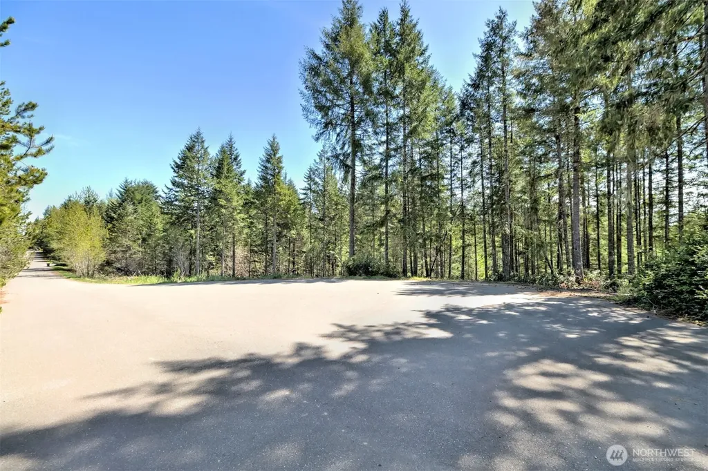 161 E Lexington Place Shelton WA 98584