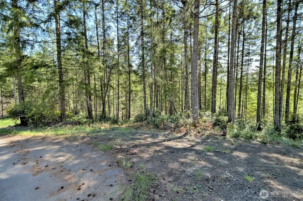 161 E Lexington Place Shelton WA 98584
