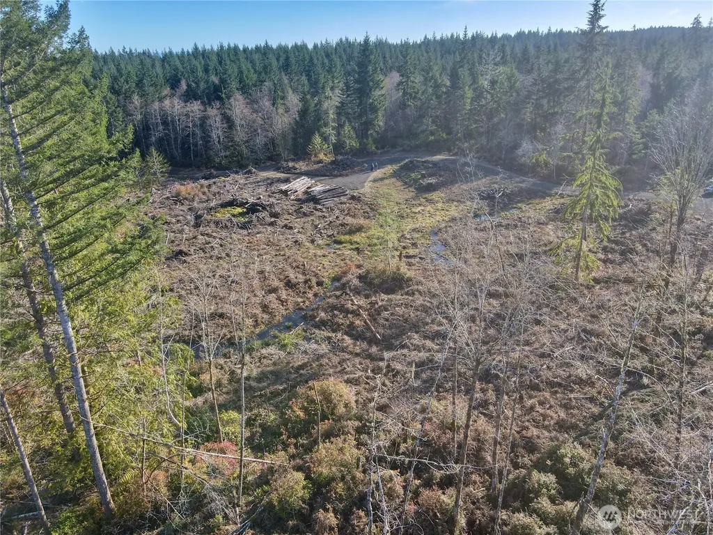 255 E Solbakk Veien Road Shelton WA 98584