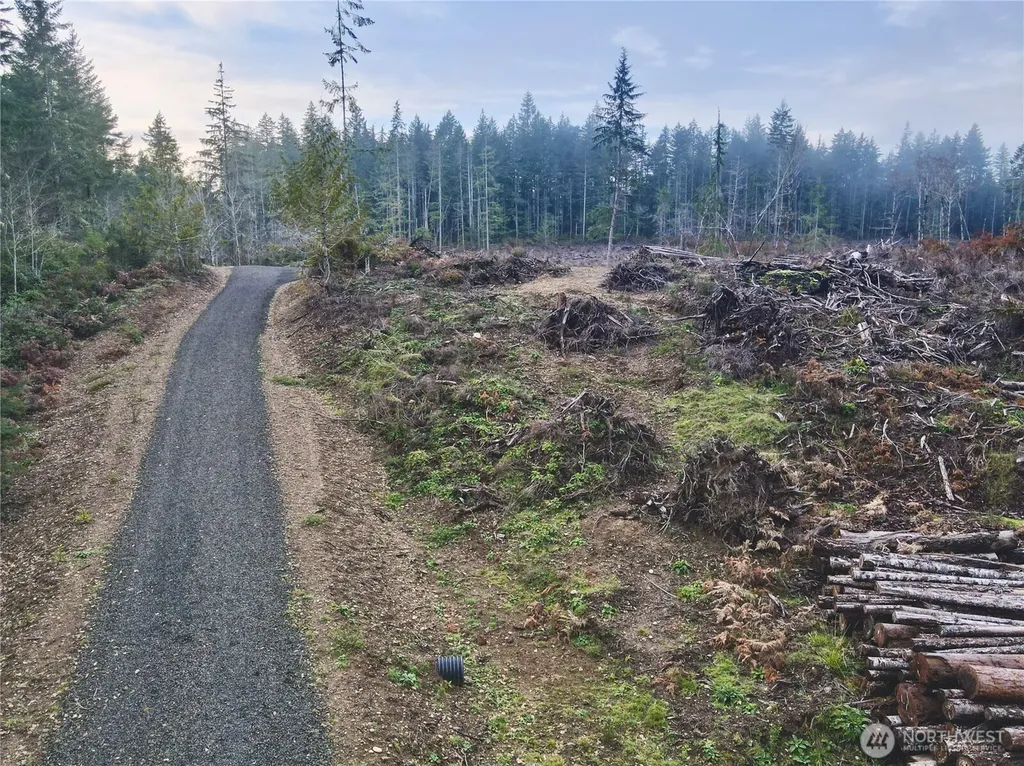 255 E Solbakk Veien Road Shelton WA 98584