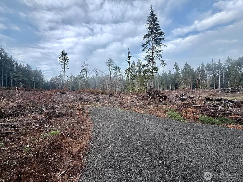 255 E Solbakk Veien Road Shelton WA 98584