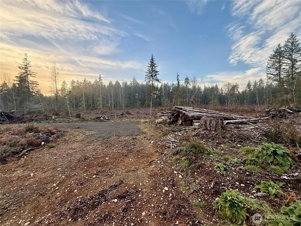 255 E Solbakk Veien Road Shelton WA 98584