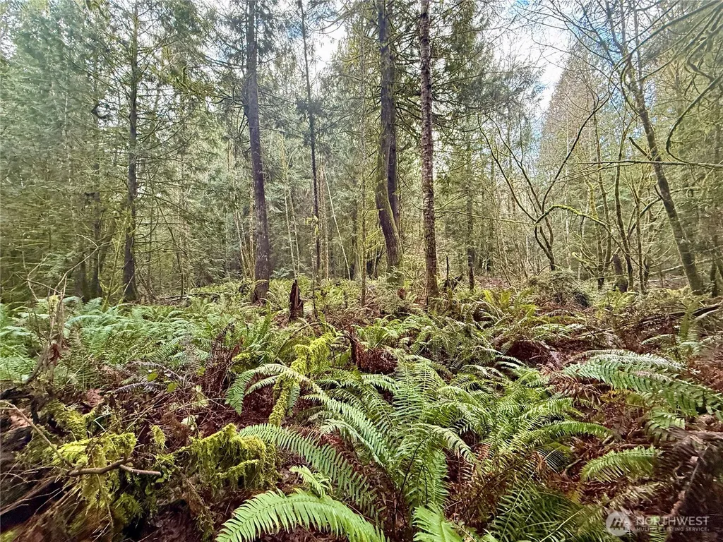 705 E Colonel Wright Road Shelton WA 98584