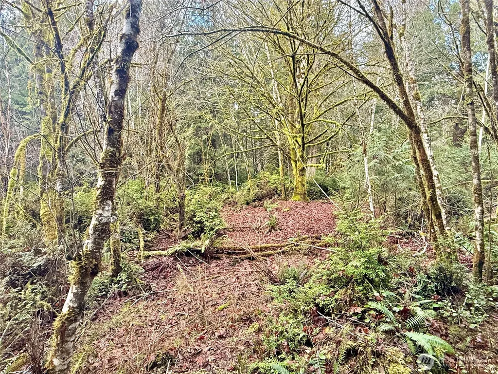 705 E Colonel Wright Road Shelton WA 98584