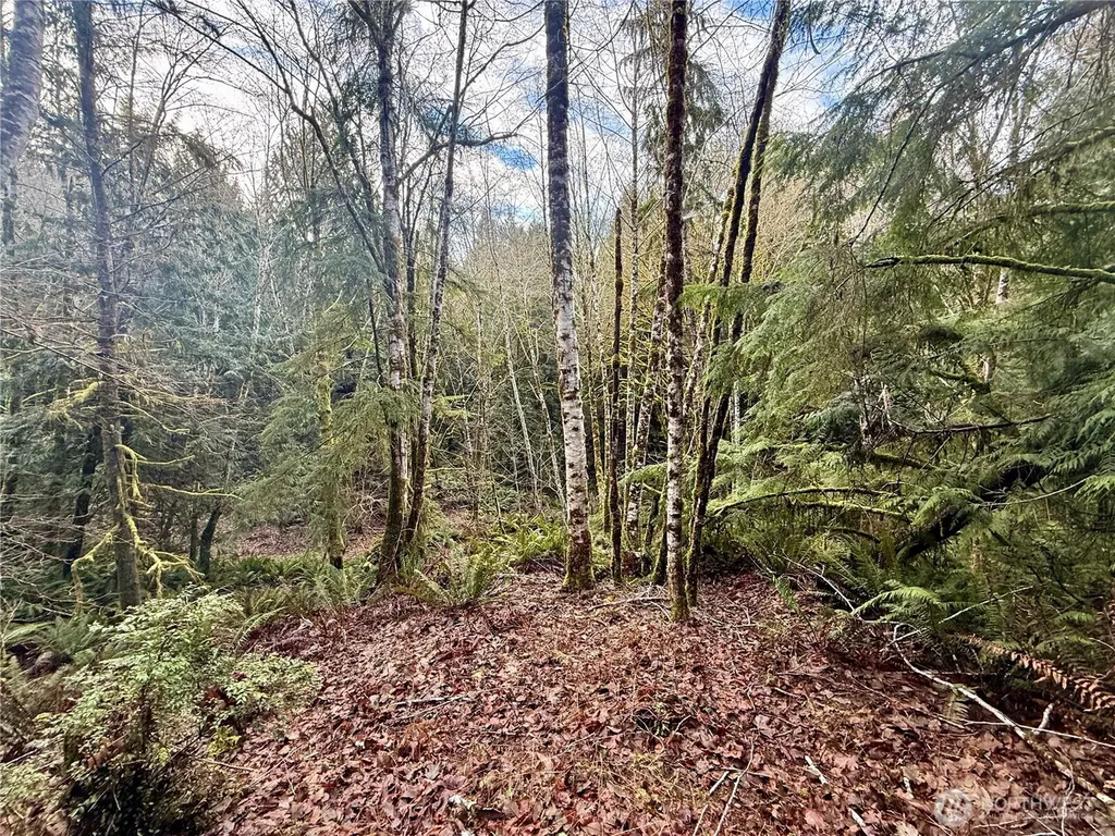 705 E Colonel Wright Road Shelton WA 98584