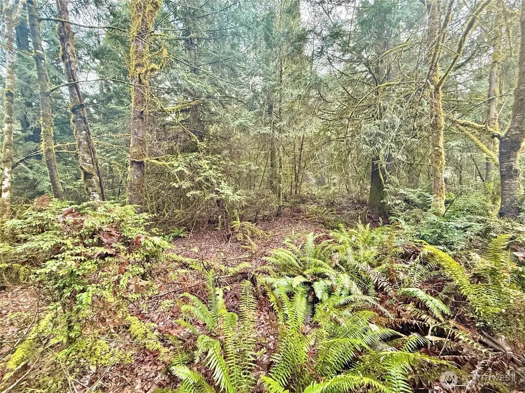 705 E Colonel Wright Road Shelton WA 98584