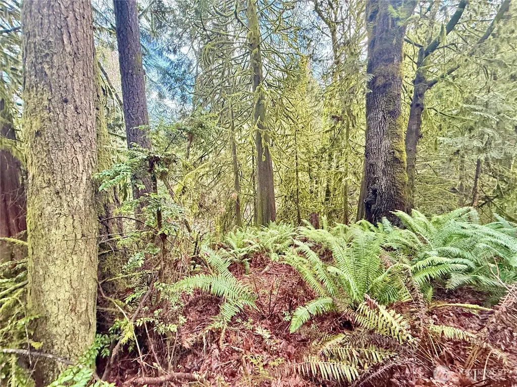 705 E Colonel Wright Road Shelton WA 98584