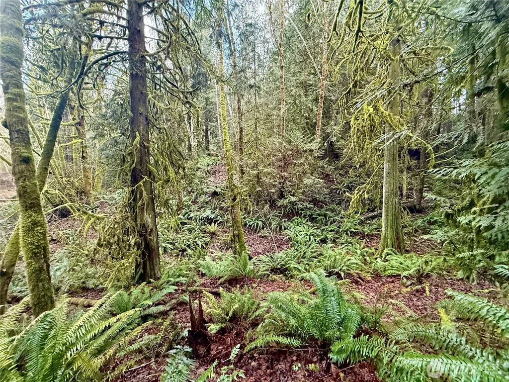 705 E Colonel Wright Road Shelton WA 98584