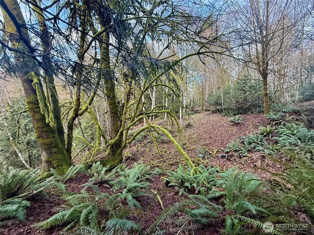 705 E Colonel Wright Road Shelton WA 98584