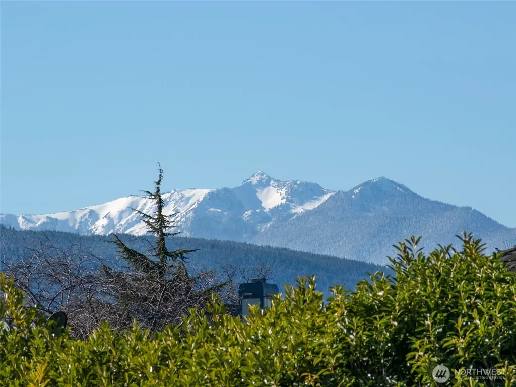 955 N 5th Avenue Sequim WA 98382
