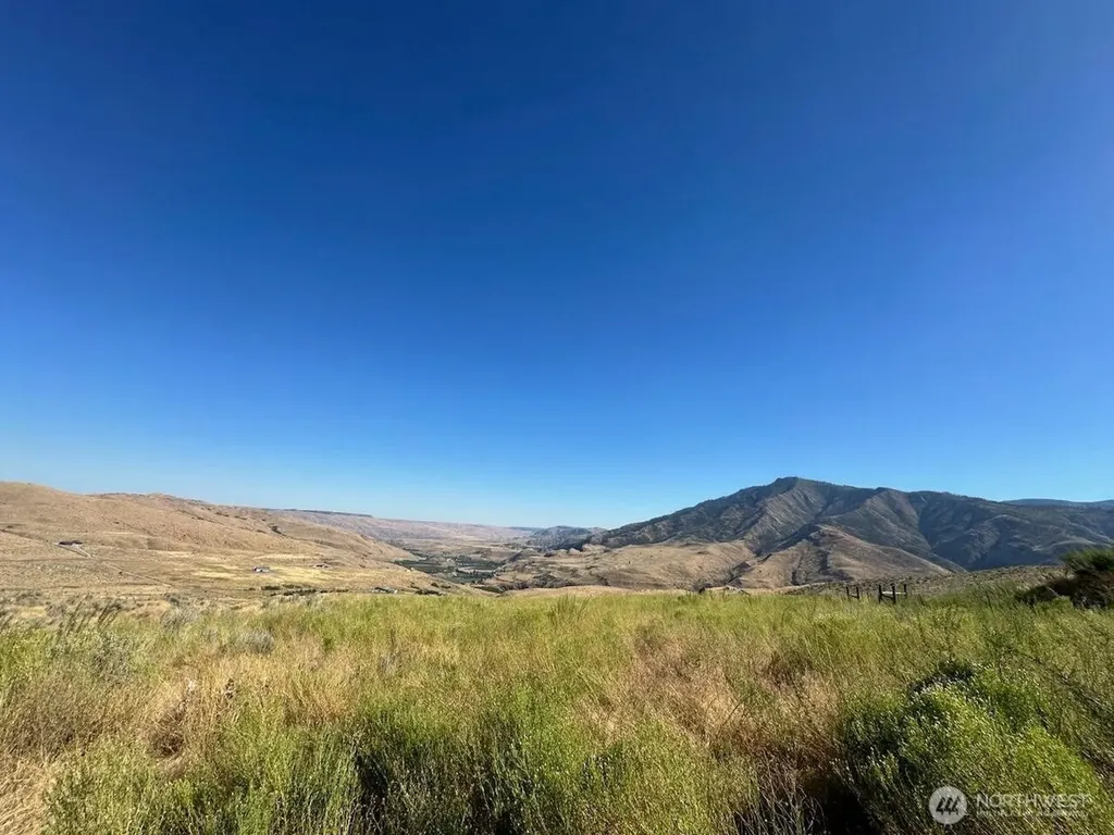 0 Curly Horse Drive Pateros WA 98846