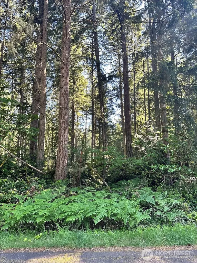 11825 112th Avenue Anderson Island WA 98303