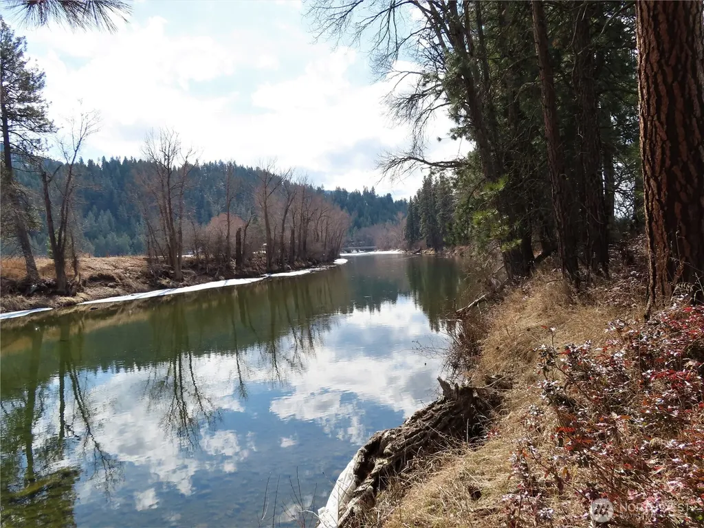 0 Highway 21 N Danville WA 99121