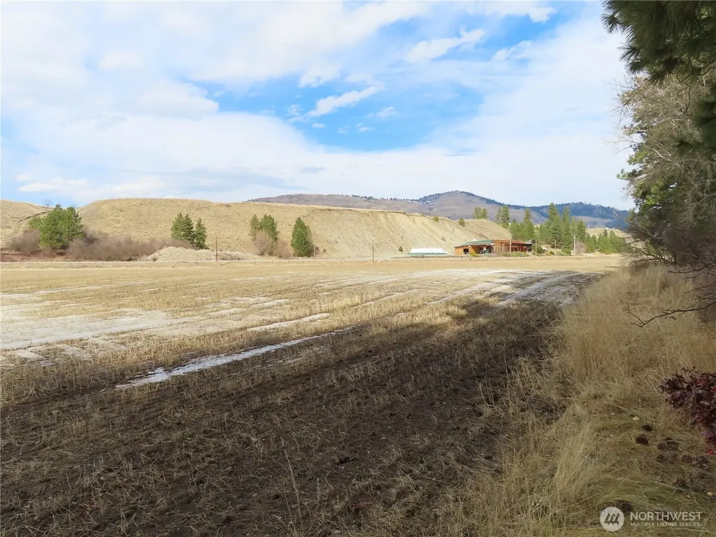 0 Highway 21 N Danville WA 99121