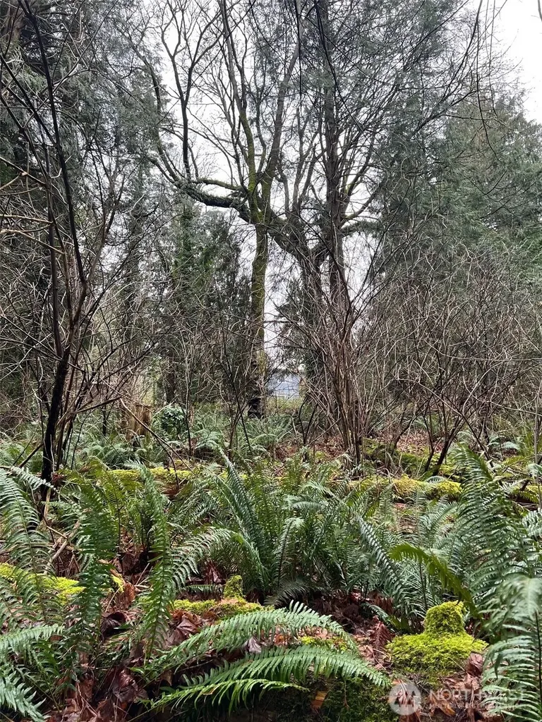 25 Roosevelt Road Point Roberts WA 98281