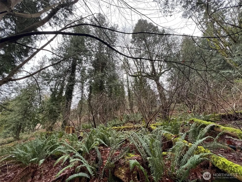25 Roosevelt Road Point Roberts WA 98281
