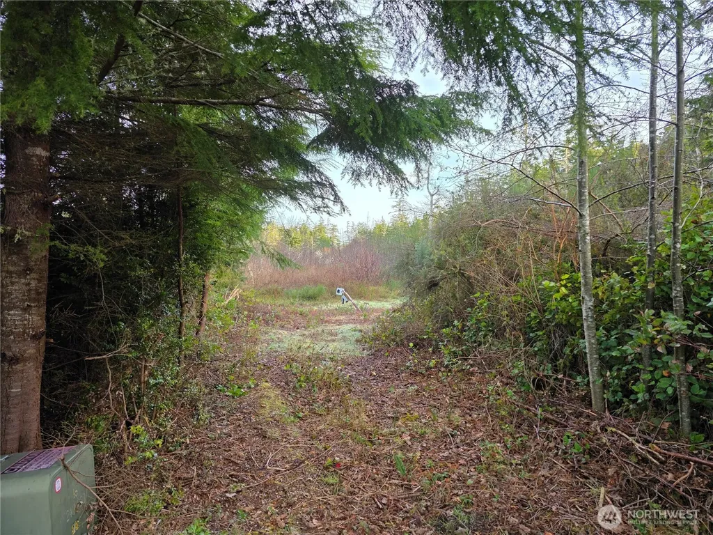 3011 202nd Street Ocean Park WA 98640