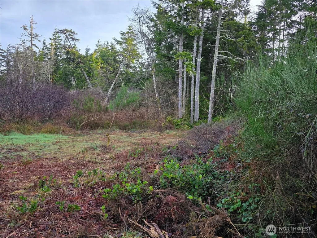 3011 202nd Street Ocean Park WA 98640