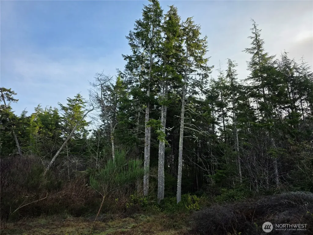 3011 202nd Street Ocean Park WA 98640