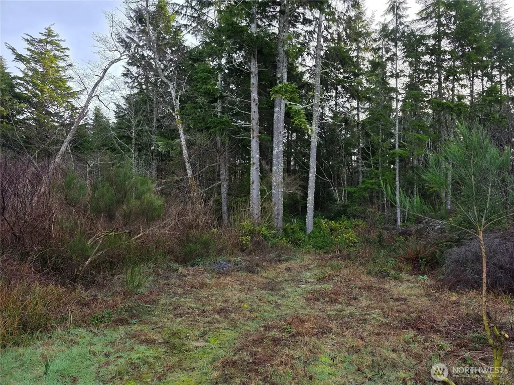 3011 202nd Street Ocean Park WA 98640