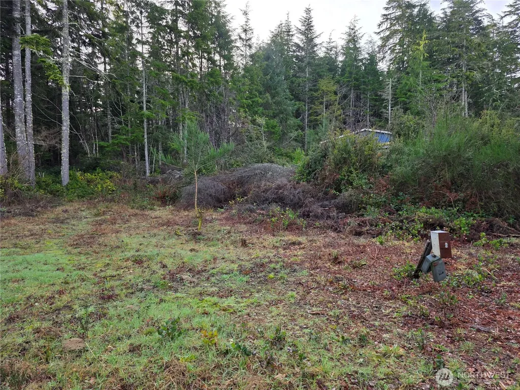 3011 202nd Street Ocean Park WA 98640