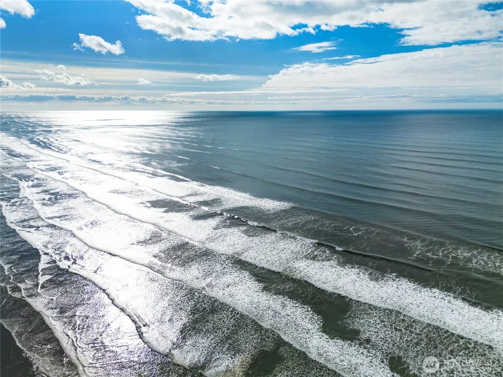 74 Elk Creek Loop Pacific Beach WA 98571