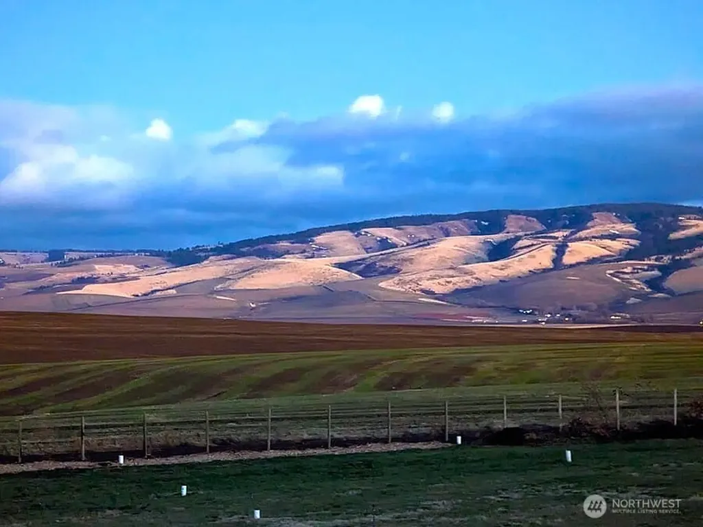 1224 Rooster Road Walla Walla WA 99362