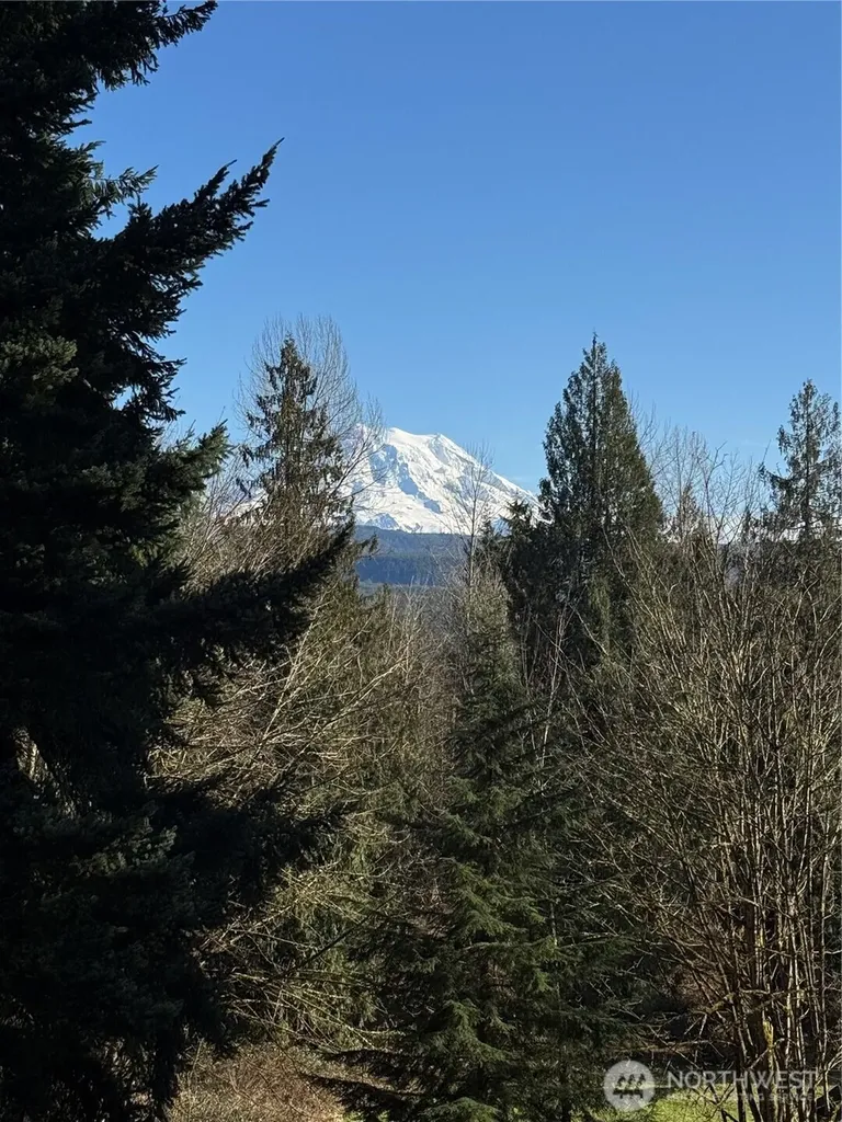 25409 159th Avenue E Graham WA 98333