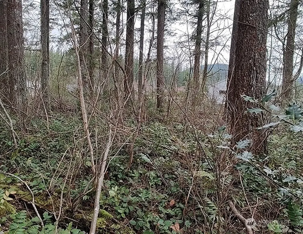 355 312th St Way SE Enumclaw WA 98022
