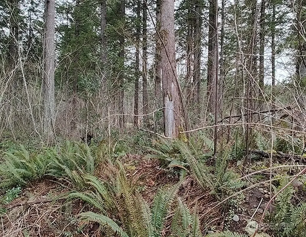 355 312th St Way SE Enumclaw WA 98022