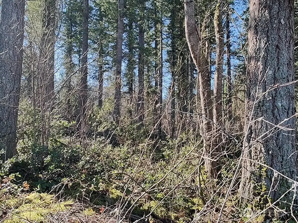 355 312th St Way SE Enumclaw WA 98022