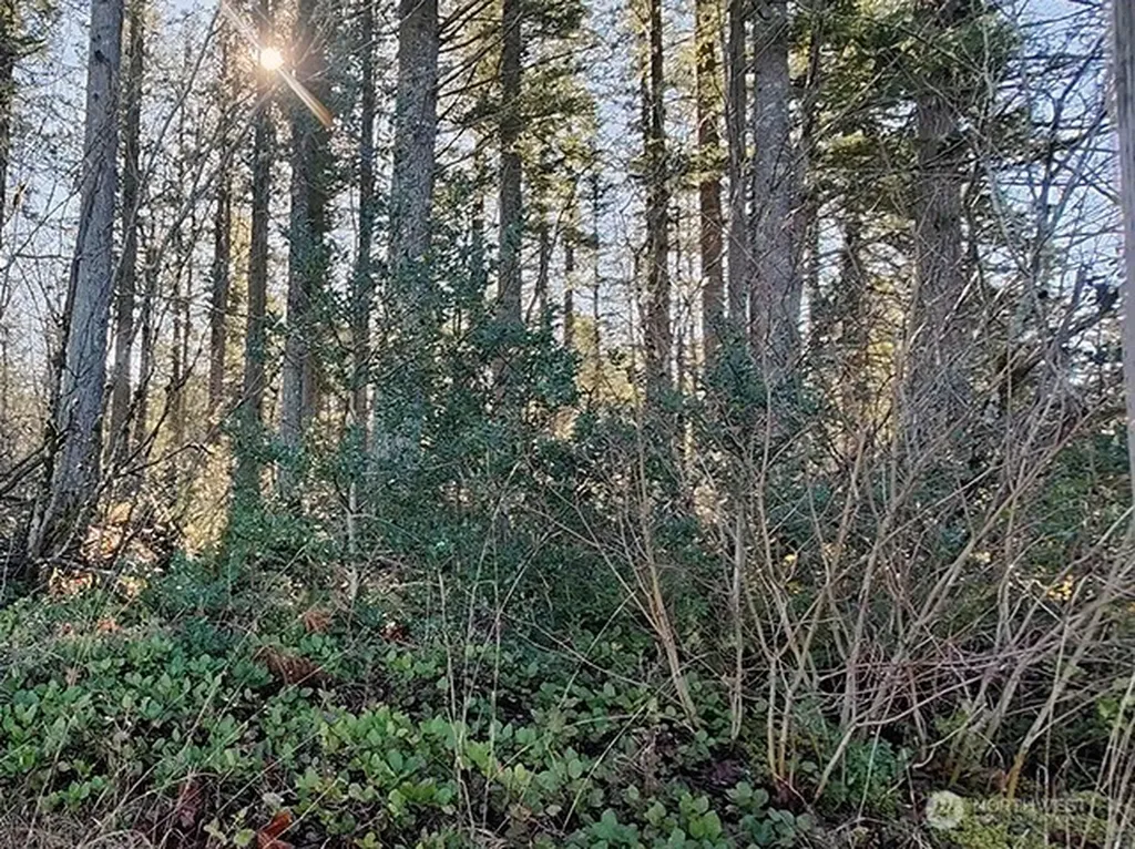 355 312th St Way SE Enumclaw WA 98022