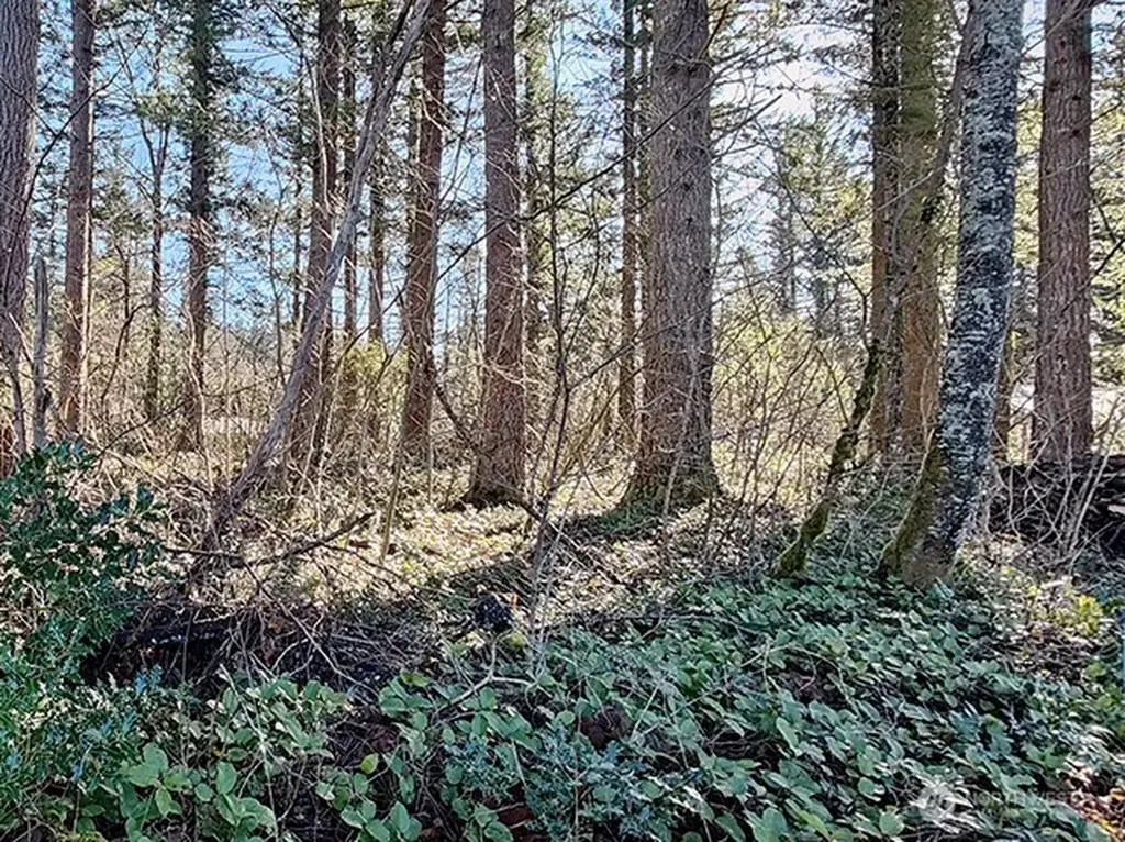 355 312th St Way SE Enumclaw WA 98022