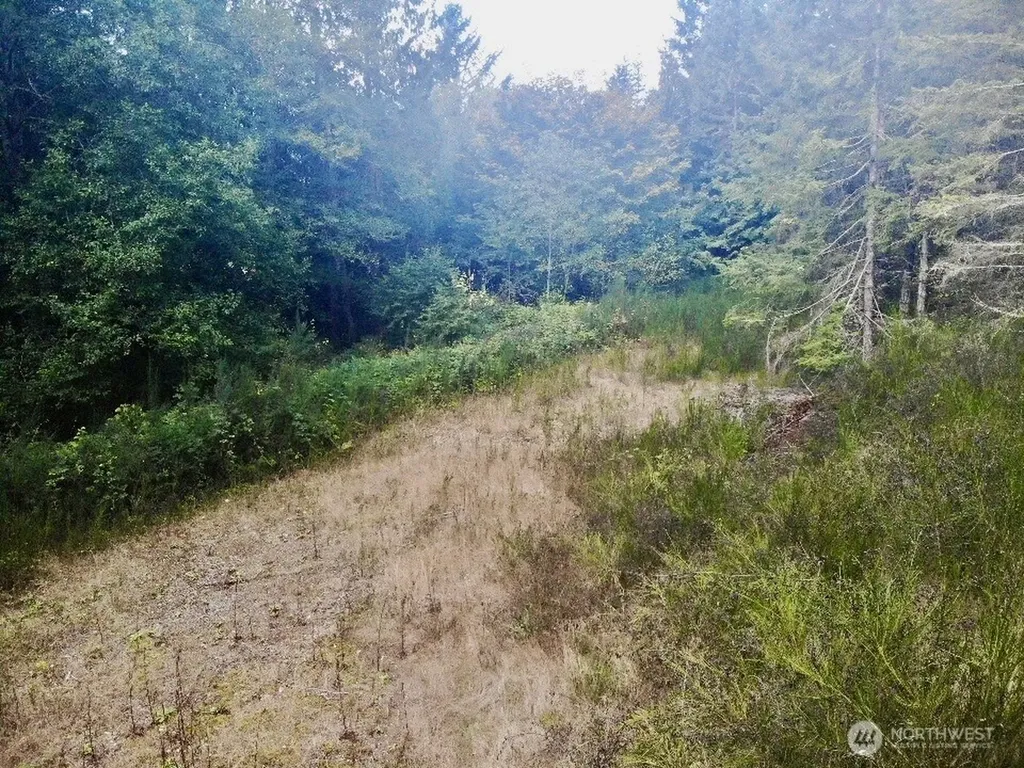 7625 NW Mountain Vista Lane Silverdale WA 98383