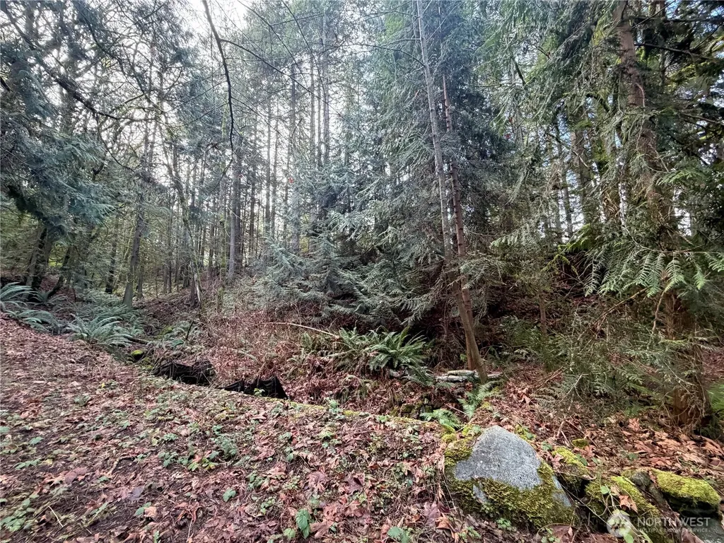 7625 NW Mountain Vista Lane Silverdale WA 98383