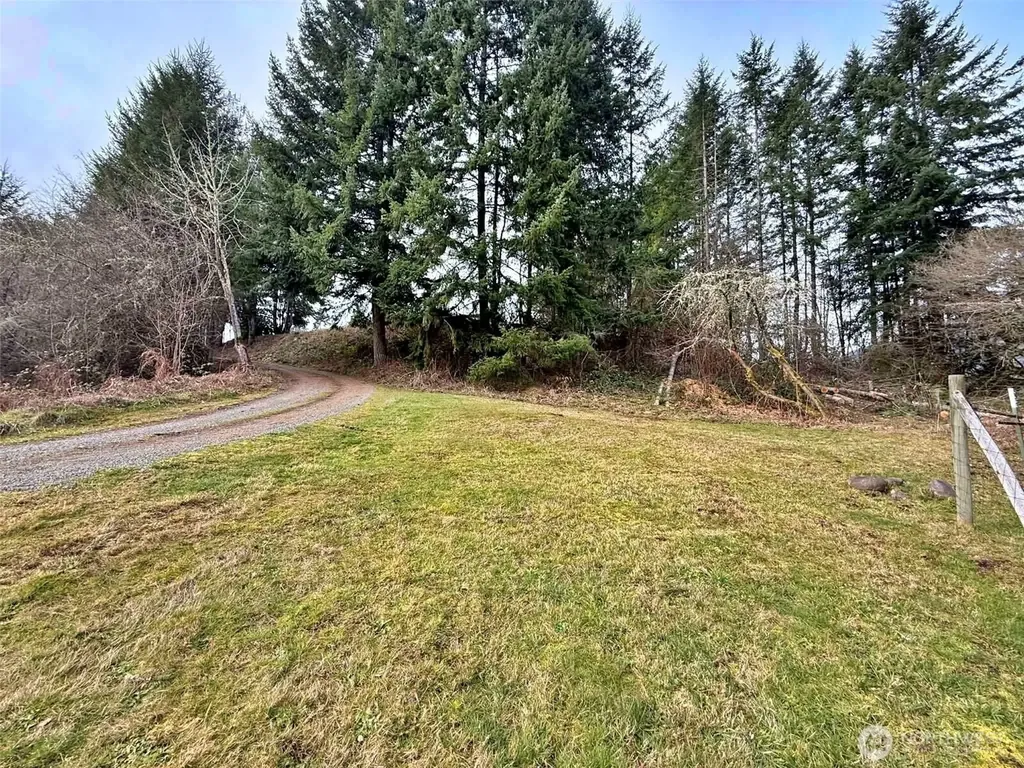 384 Peters Road Randle WA 98377