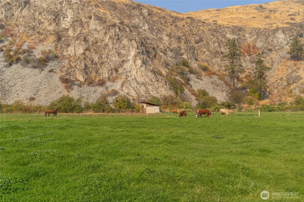 2560 Antoine Creek Chelan WA 98816
