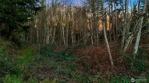 927 Grennan Place Camano Island WA 98282